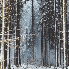 General Winter Chooses Sides, Russian Troops Freezing to Death in Droves