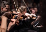 Patterns for emotional harmonization within teams