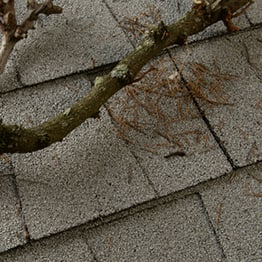 Roof storm damage with tree branches and storm debris on roof.