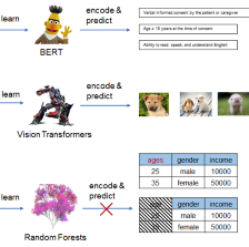 TransTab: Learning Transferable Tabular Transformers Across Tables