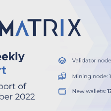 MATRIX AI NETWORK
BI-WEEKLY REPORT